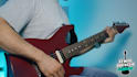 give professional guitar and music theory lessons online