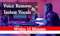 remove vocals professionaly from any audio