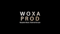 elevate your project in any musical style with a premium, bespoke intro jingle