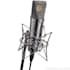 do a professional brazilian portuguese voice over