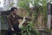 give you online electric and acoustic guitar lessons