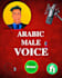 create a professional, highquality voiceover for you