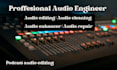 professionally edit and improve your audio