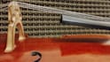 record my cello professionally for you