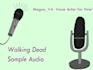 voice a serious and professional character for your project
