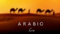 produce authentic arabic and oriental music professionally
