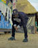 be your afrobeat, singer, pop, rnb, rap, songwriter