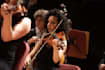give you violin lessons