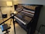 write your serene composition with analytical skills