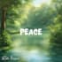 buy high quality afrobeat, amapiano and afro dancehall beats