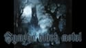 write and compose full metal or rock songs and guitar riffs