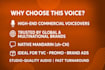do mandarin chinese corporate video and commercial voiceover