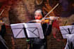 record professional HQ violin asap