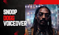 do all celebrities voiceover