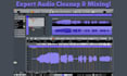 do audio editing services for podcast, voice overs, etc