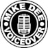 record an energetic and engaging american male voice over