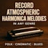 record atmospheric harmonica melodies for any genre with soulful precision