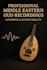 record professional middle eastern oud lute for authentic music projects