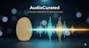 record a professional humanized ai voice over for video narration