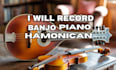 record professional harmonica, piano, violin, banjo tracks for your song