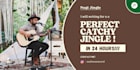 write a catchy and perfect quality jingle in 24hour
