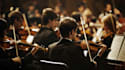 do the orchestral classical compositions for your projects