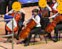 teach you cello online with personalised cello lessons