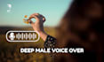 record a deep, calm professional male voice over for ads and video