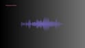 produce your voice over demo