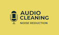 professionally clean audio, remove background noise and echo