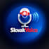 record professional slovak voiceover