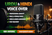 record urdu and hindi voice over professionally