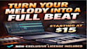 remake your melody into a professional full beat