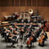 pro studio high quality full orchestra with strings woodwinds, brass percussion