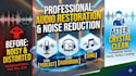 do professional audio mixing, mastering, and noise reduction