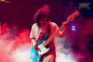 be your session bass player