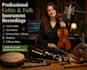 record pro saxophone, clarinet, flute or horn section