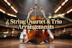 arrange and record professional string quartet or trio for your song