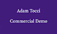 provide quality voiceover in a timely manner