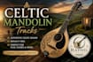 play celtic mandolin, banjo or bouzouki on your track