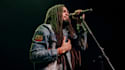 compose and sing authentic jamaican reggae music singer