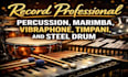 provide live percussion featuring djembe, conga, bongo tambourine udu drum