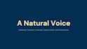be your authentic northern norwegian voice over