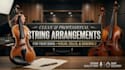 create clean professional string arrangements for your song