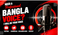 record a professional bangla voice over for youtube,ads,narration and elearning