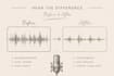 remove noise, echo and professionally restore your audio