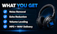 remove background noise, hiss, echo and wind from your audio and make it