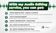do audio cleanup, vocal isolation, voice filters and cloning