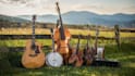 record pro, custom fiddle, mandolin, violin, viola, strings for your track