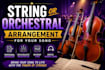 record high quality strings section with real instruments